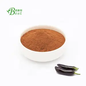 GMP factory supply Aubergine Extract Eggplant Powder 10:1