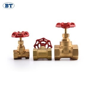 Üstün düşük fiyat pirinç fiş giriş valfi - Product Image 3
