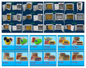 Incubadora Automática para 1000 Huevos/Precio de Incubadora para 1056 Huevos/Incubadora para Pollos/Incubadora para Aves de Corral - Product Image 3