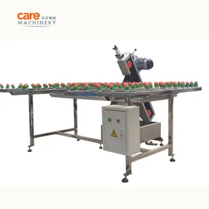 Glass Belt Edge Beveling Grinding Processing Machine