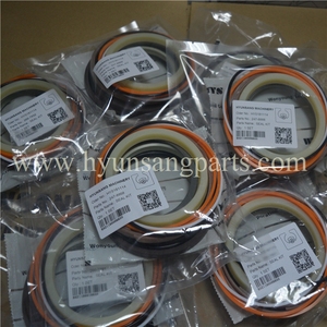 Kit guarnizioni parti escavatore Hyunsang per 397-9294 3979294 3333717 333-3717 3479481 347-9481 per E320D <span class=keywords><strong>E324D</strong></span>