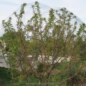 La rete da giardino protegge l'albero da frutto, i cervi e i parassiti delle verdure delle piante, la rete resistente dell'albero per la fattoria, frutteto