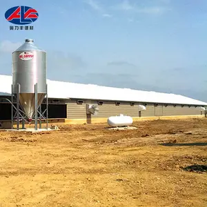 Chicken House Designs Low Cost Steel Poultry Shed Broiler Poultry Farm House Design Egg Chicken House Building For Layers