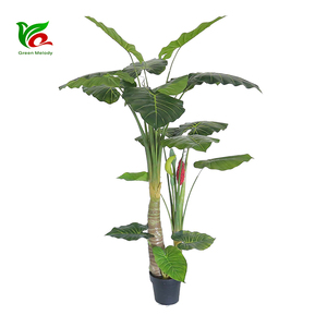 <span class=keywords><strong>Alocasia</strong></span> macrhizos เทียมต้นไม้เทียม1.7เมตร - Product Image 1