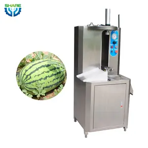 Commercial fruit papaya peeler automatic pineapple peeling machine