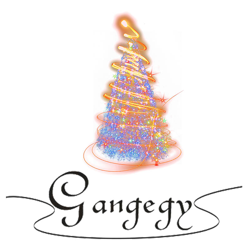 Dongyang Gangge Atrs&Crafts Co., Ltd. logo