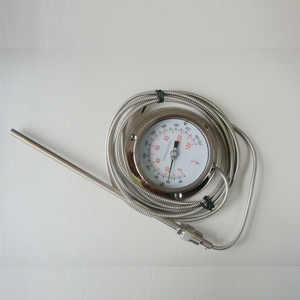 ベストセラーのキャピラリー温度計 - Product Image 5