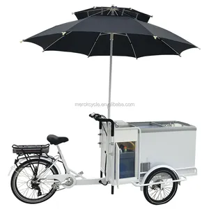 Zero Tariff Street Business Three Wheel IceCream Selling New Style Freezer Front Loading Quality Electric IceCream Bike