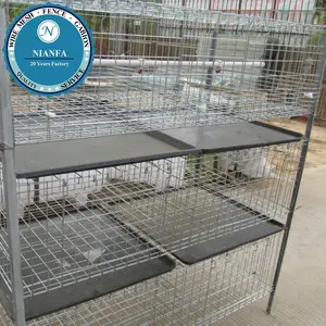 Day Old Layer chick Cage of drinker and feeder system(Guangzhou Factory)