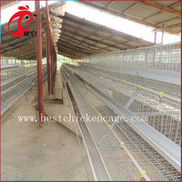 Offre Spéciale : Cage à Poulets de Chair Automatique à 5 Niveaux pour 200 Poules Pondeuses (Hebei) – Vente en Gros