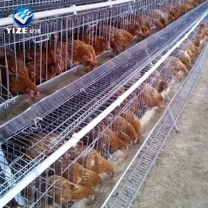 professional A frame metal egg chicken house design layers chicken farm building