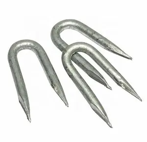 UK Galvanised fence staples  40mm x 4.0mm  1kg bag cheaper price from Tianjin,China factory