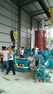 स्वचालित कॉटसीड तेल बनाने की मशीन उच्च दक्षता ठंड और गर्म दबाव 220/380v नई स्थिति कपास बीज तेल - Product Image 6