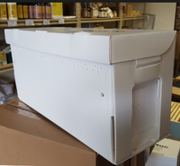 Boîte à noyaux en plastique pour l'accouplement des reines d'abeilles 2020