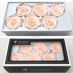 Grade Real Natural 5-6 cm Préservé Rose Tête Usine En Gros 6 Roses/Boîte Frais Éternel Pour Toujours Immortel Saint Valentin - Product Image 6