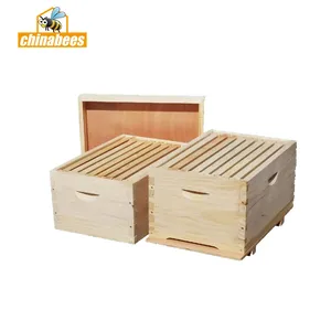 New Zealand pine double layer beehive wooden bee house with frames complete fumigated