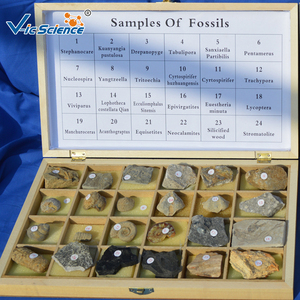 Formation professionnelle Fournitures Rock Pyrolith Spécimen Syrolith Échantillons pour L'enseignement - Product Image 2