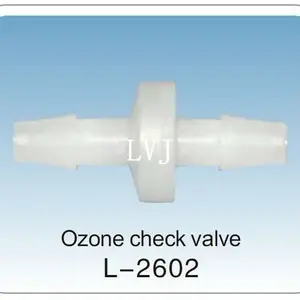 Ozon-Rückschlag ventil