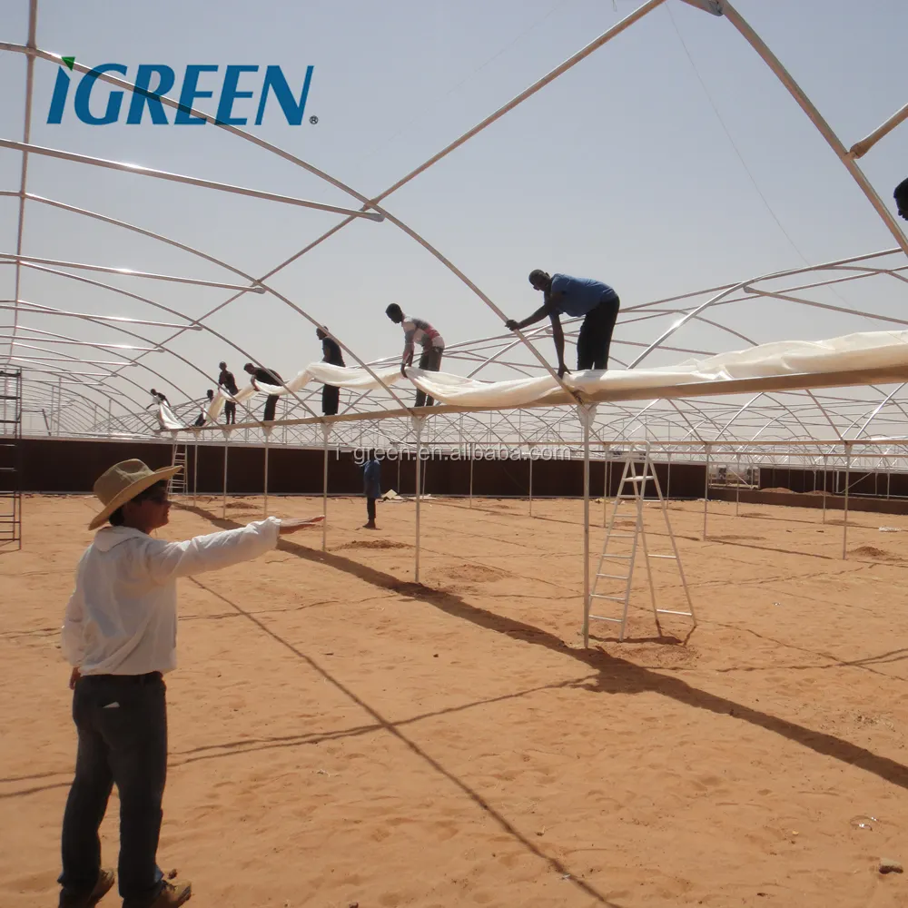 Hot dipped galvanized steel frame greenhouse
