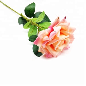 Regali <span class=keywords><strong>di</strong></span> Giorno <span class=keywords><strong>di</strong></span> san <span class=keywords><strong>valentino</strong></span> rose <span class=keywords><strong>di</strong></span> seta <span class=keywords><strong>di</strong></span> alta Qualità - Product Image 3