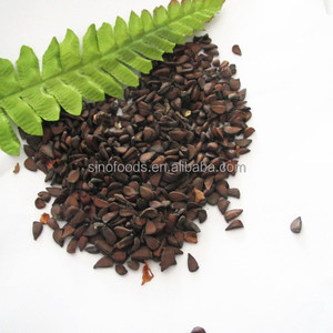 تصنيع توريد أعلى نقاء الهجين بذور البابايا - Product Image 5