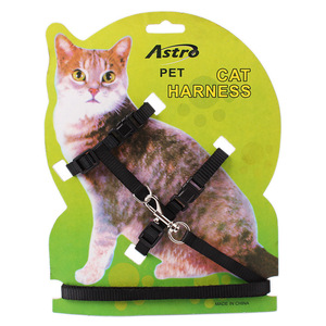 Collier pour chien gratuit pour <span class=keywords><strong>chiens</strong></span> et chats, accessoires, harnais avec laisse, harnais pour chat love pet - Product Image 4