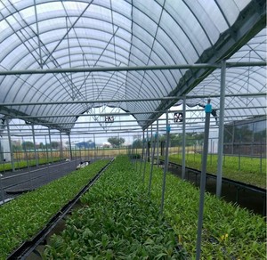 1 2 3 5 7 10 gallons pots de pépinière en plastique noir bon marché SNP-045(C) - Product Image 5