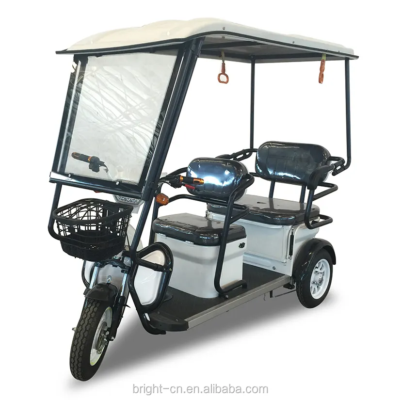 Recreatieve outdoor 48v500w passenger 3 wiel driewieler/trike