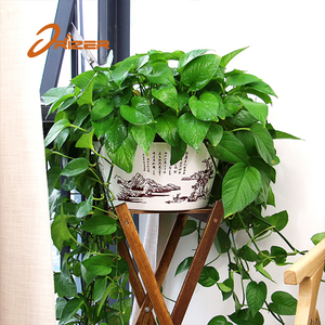 <span class=keywords><strong>Amazon</strong></span> Venta caliente del precio bajo auto riego estilo chino Flor del plantador - Product Image 2