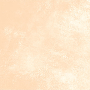 In fibra di carbonio pavimento di piastrelle 48x48 porcelain tile keystone naturale pietra di corallo all'aperto pavimento di piastrelle - Product Image 3
