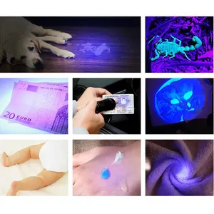395nm Rivelatore di Luce Viola di Urina Animale Domestico In Metallo Ultra Violet 12 Led UV Torcia Elettrica