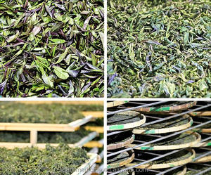 Trà Kim Thảo Dược Tự Nhiên Sấy Khô Số Lượng Lớn Trà Lá Holly Lá Rộng Chất Lượng Cao Trung Quốc - Product Image 4