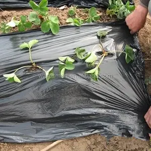 Agricultural farm Plastic mulch film with hole /without hole