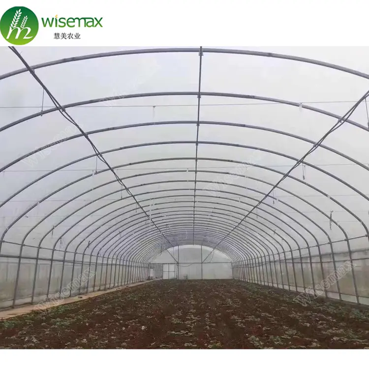 Wirtschaft licher Tunnel landwirtschaft licher Kunststoff verwendet Garten gewächshaus für Tomaten