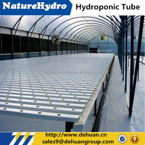 Thủy canh rau diếp phát triển guter NFT máng xối - Product Image 5