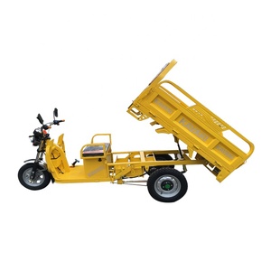 Tricycles électriques à prix avantageux pour adultes, à chargement lourd, pour le Pakistan - Product Image 6