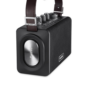 Callvi V-832 UHF Microphones Sans Fil <span class=keywords><strong>Portable</strong></span> Pa Sans Fil PA Karaoké Haut-Parleur <span class=keywords><strong>Amplificateur</strong></span> <span class=keywords><strong>de</strong></span> <span class=keywords><strong>Voix</strong></span> - Product Image 4