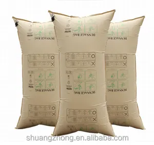 Aufblasbare Container Dunnage Airbags