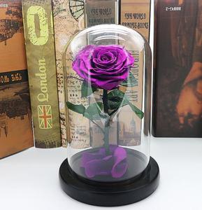Natural hecho a mano largo tiempo seco y flor Rosa la vida eterna en la de vidrio para la venta al por mayor - Product Image 5