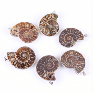 Colgante de conchas de amonita, abalorios de ágata para fabricación de collares, joyería al por mayor - Product Image 6