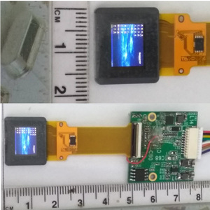 Module micro <span class=keywords><strong>OLED</strong></span> 0,5'' 1024x768 pour monoculaire, affichage de vision nocturne - Product Image 2