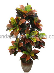 A buon mercato cinese aria bonsai artificiale banyan semi di albero bonsai di plastica <span class=keywords><strong>alberi</strong></span> bonsai da interno piante - Product Image 2