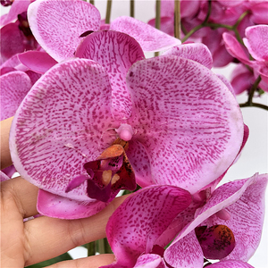 Nuovo vero tocco Phalaenopsis orchidea Bonsai orchidea artificiale con vaso vero tocco fiori vaso orchidea <span class=keywords><strong>per</strong></span> la decorazione - Product Image 5