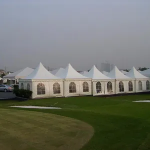 Carpa marquesina de 5x5m con marco de Metal, toldo de pico alto, Pagoda