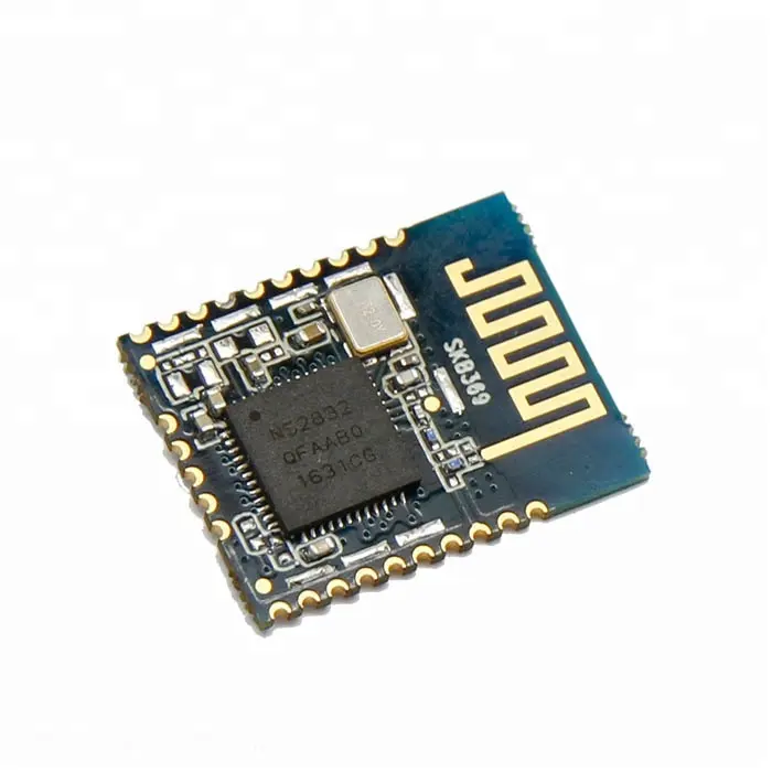 SKYLAB FCC ODM/OEM Nordic nRF52832 5.0 Bluetooth Module FM Transmitter Module für innen lage