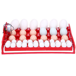 Máy Ấp Trứng Bán Chạy Nhất 2019 Máy Ấp Trứng Cho Gà Ấp WQ-24 Với Chứng Nhận Ce - Product Image 3