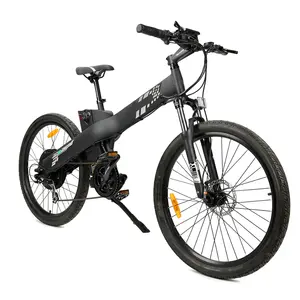 Changzhou Coolfly factory Seagull cheap price electric bike 500w for Euro market