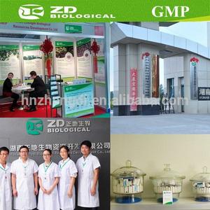 Bột Protein Thuần Chay Bán Buôn 100% Whey/Đậu Nành/Gạo Nâu Bột Protein - Product Image 6