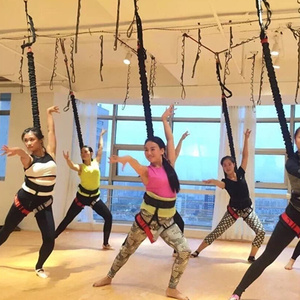 PRIOR FITNESS Nuevo Equipo Profesional de Ejercicio con Bungee, Cuerda de Alta Resistencia para Ejercicio con Bungee <span class=keywords><strong>en</strong></span> Venta, Garantía de Calidad - Product Image 1