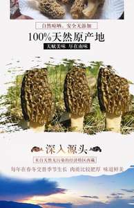 乾燥モレルマッシュルームモレルマッシュルームモルケラ - Product Image 2